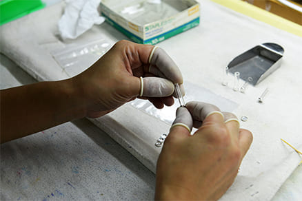 Hiraola's Product Image